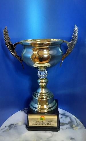 Кубок наградной с ручками (арт. 1095)