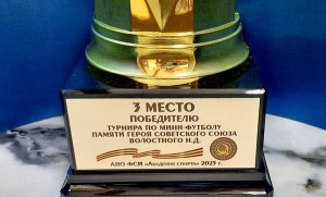 Кубок "Футбол" (арт.801), с крышкой