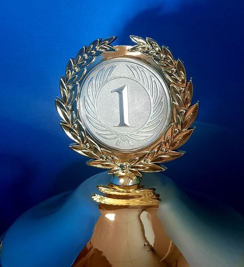 Кубок наградной с ручками (арт.826)