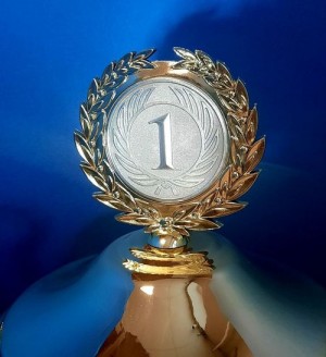 Кубок наградной с ручками (арт.826)