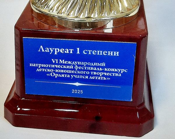 Кубок спортивный (арт.0903)